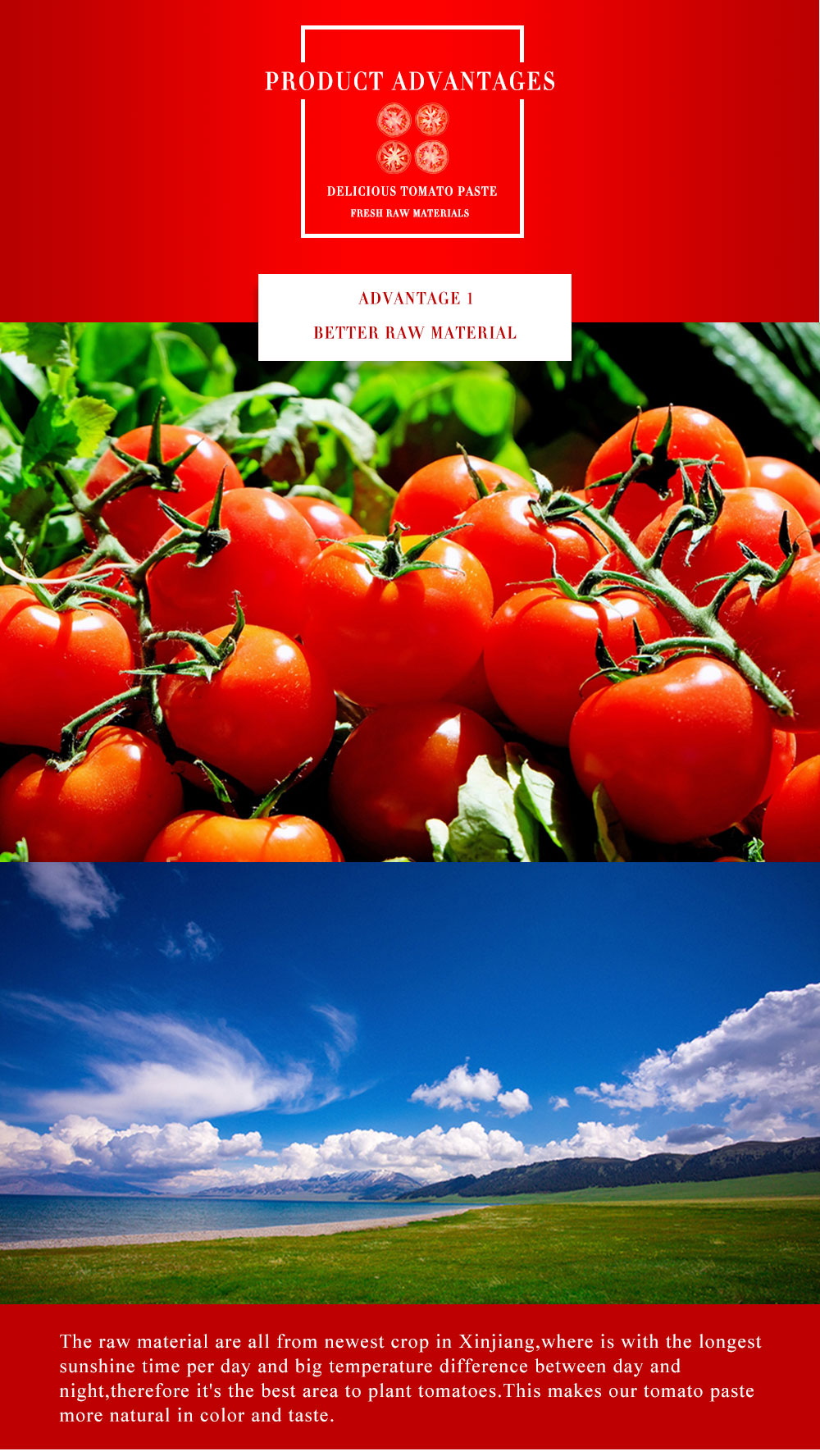 Whole peeled tomatotomato 2850g Tomato Paste,Tomato Paste Suppliers