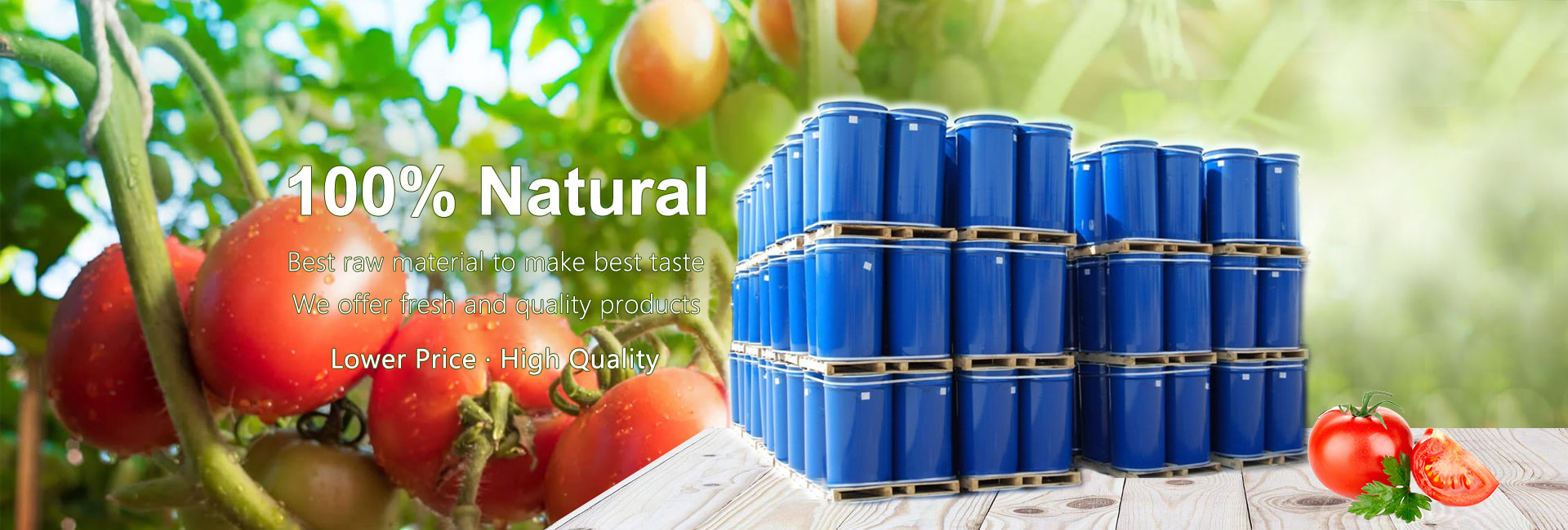 tomato-paste-tomato-paste-suppliers-china-tomato-paste-factory-other