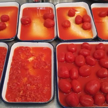 Diced tomatoes in tin 400g,800g,2500g,2850g