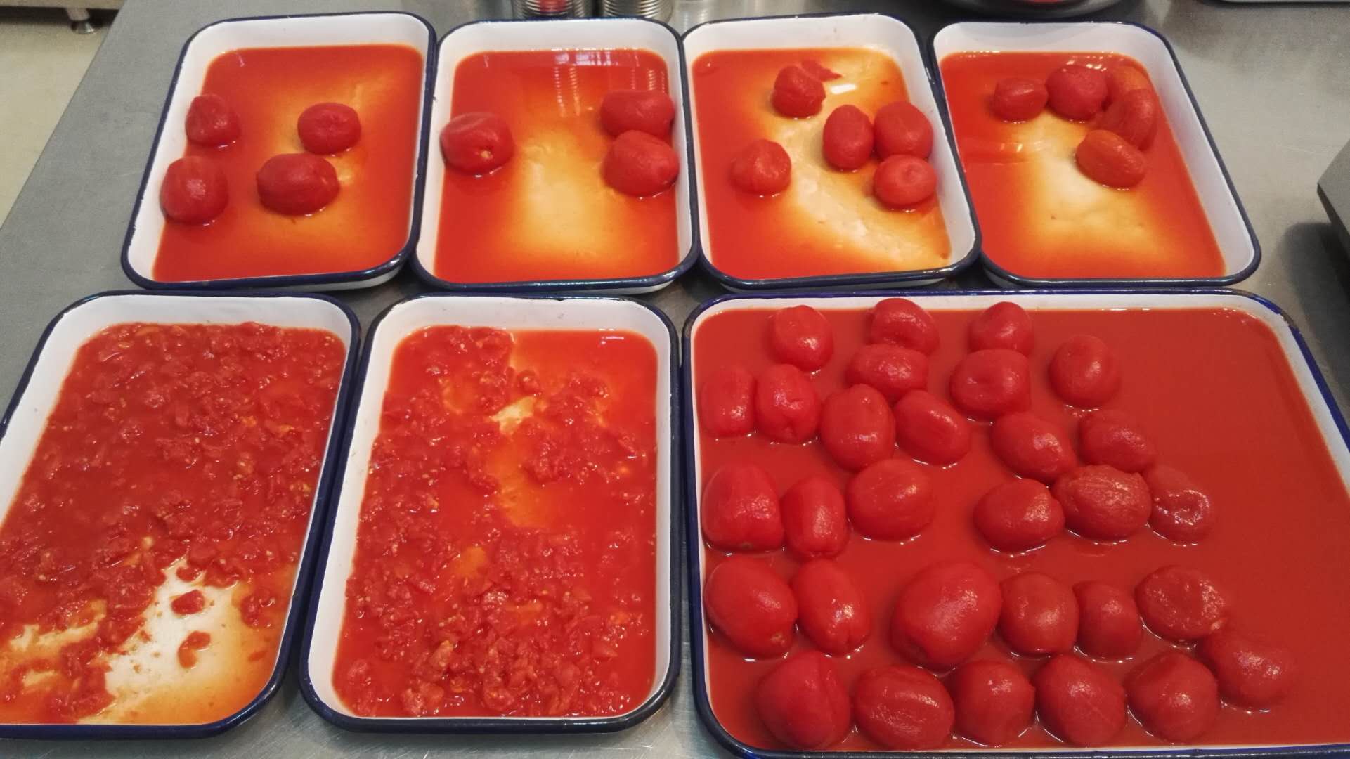 Diced tomatoes in tin 400g,800g,2500g,2850g