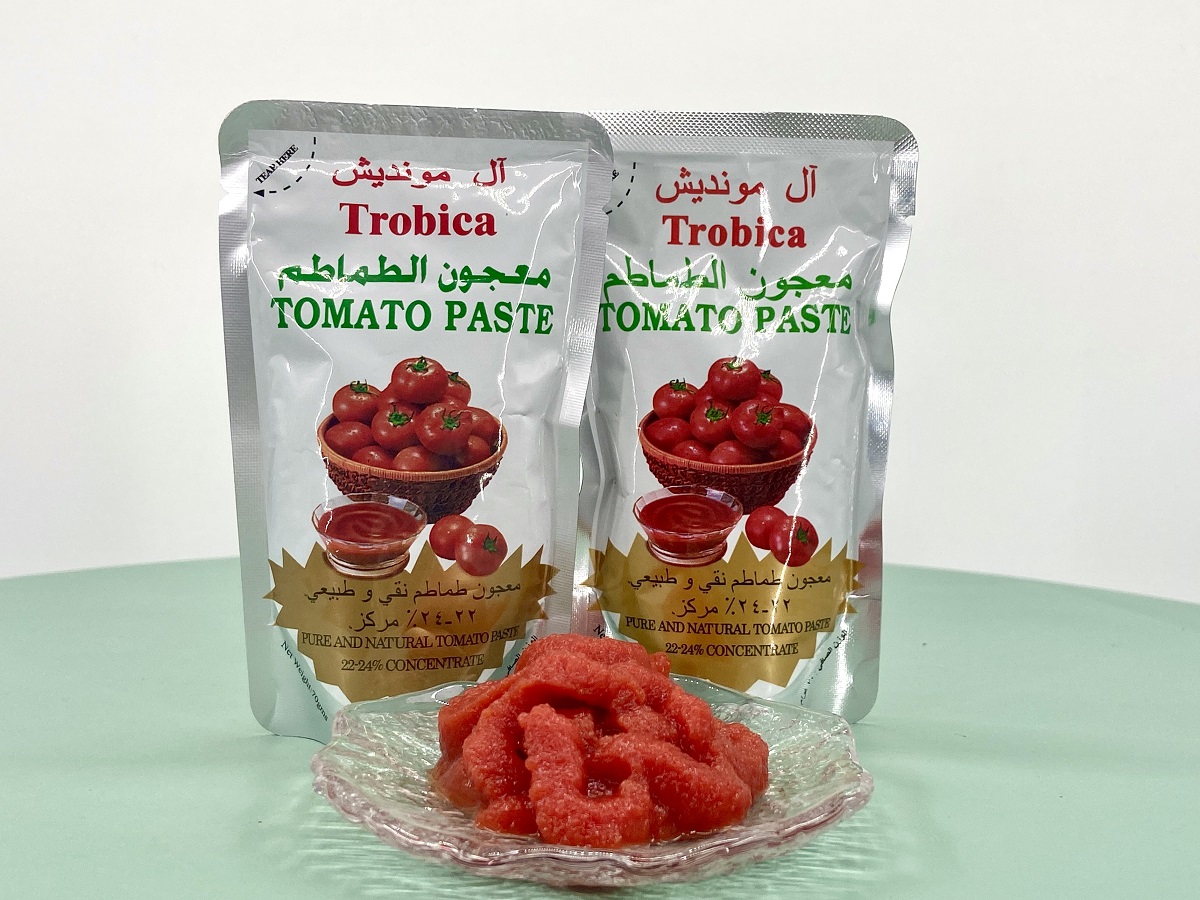 Stand pouch tomato paste 70g Brix:22-24% 100% tomato