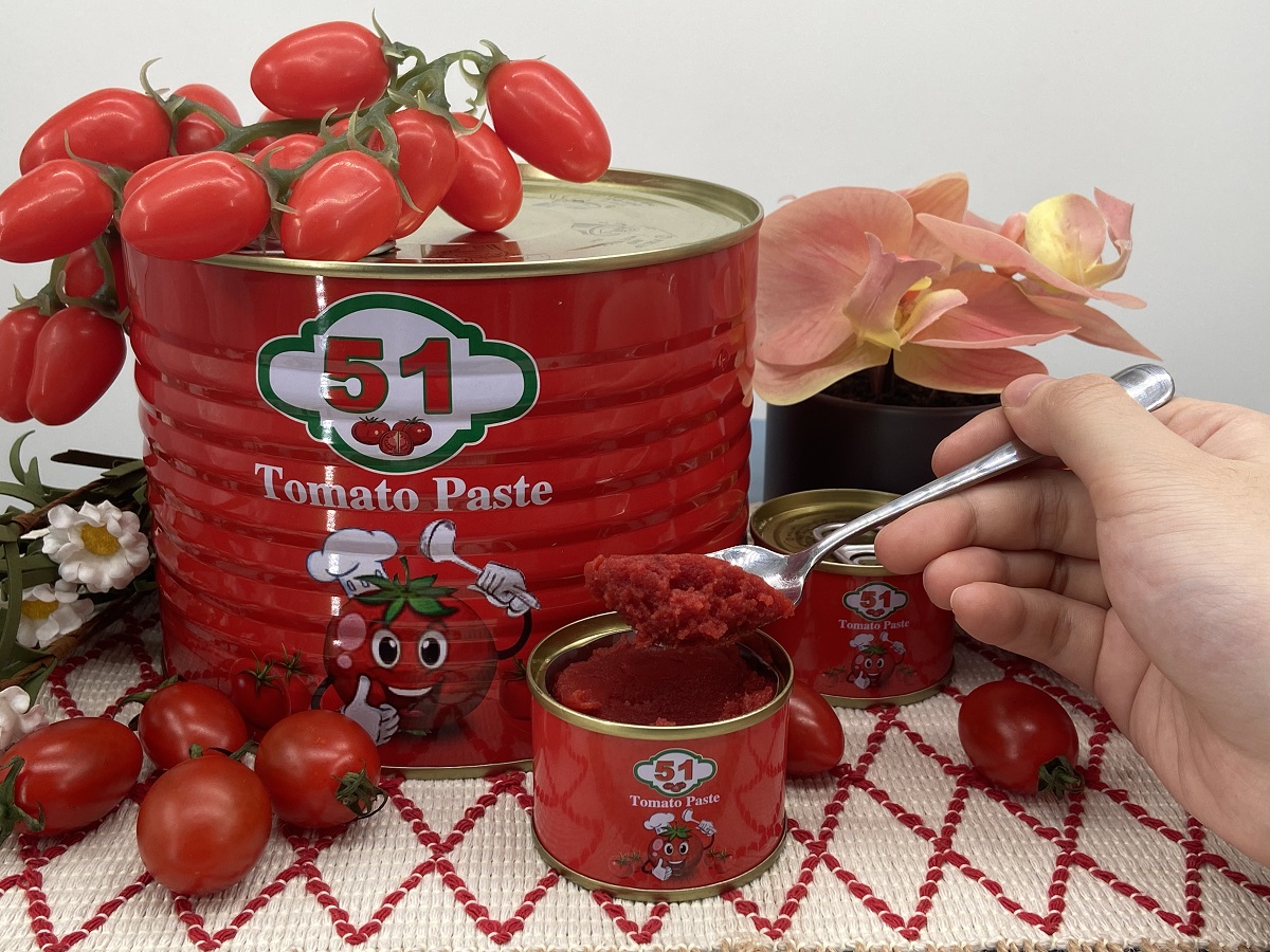 Canned tomato paste 70g,210g,400g,2200g available Concentration 28-30%