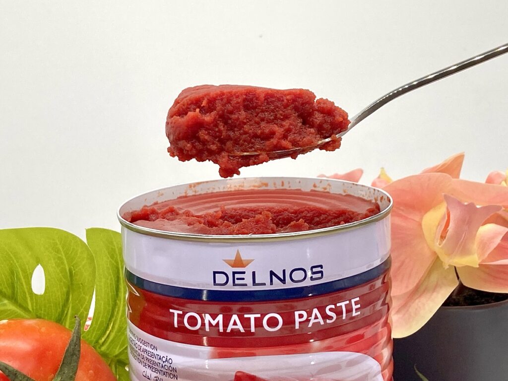 Canned tomato paste Brix 22-24% 800g,850g available - Tomato Paste